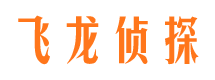 三山飞龙私家侦探公司